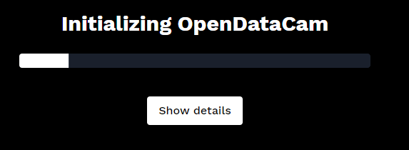 You should see this when OpenDataCam initializes