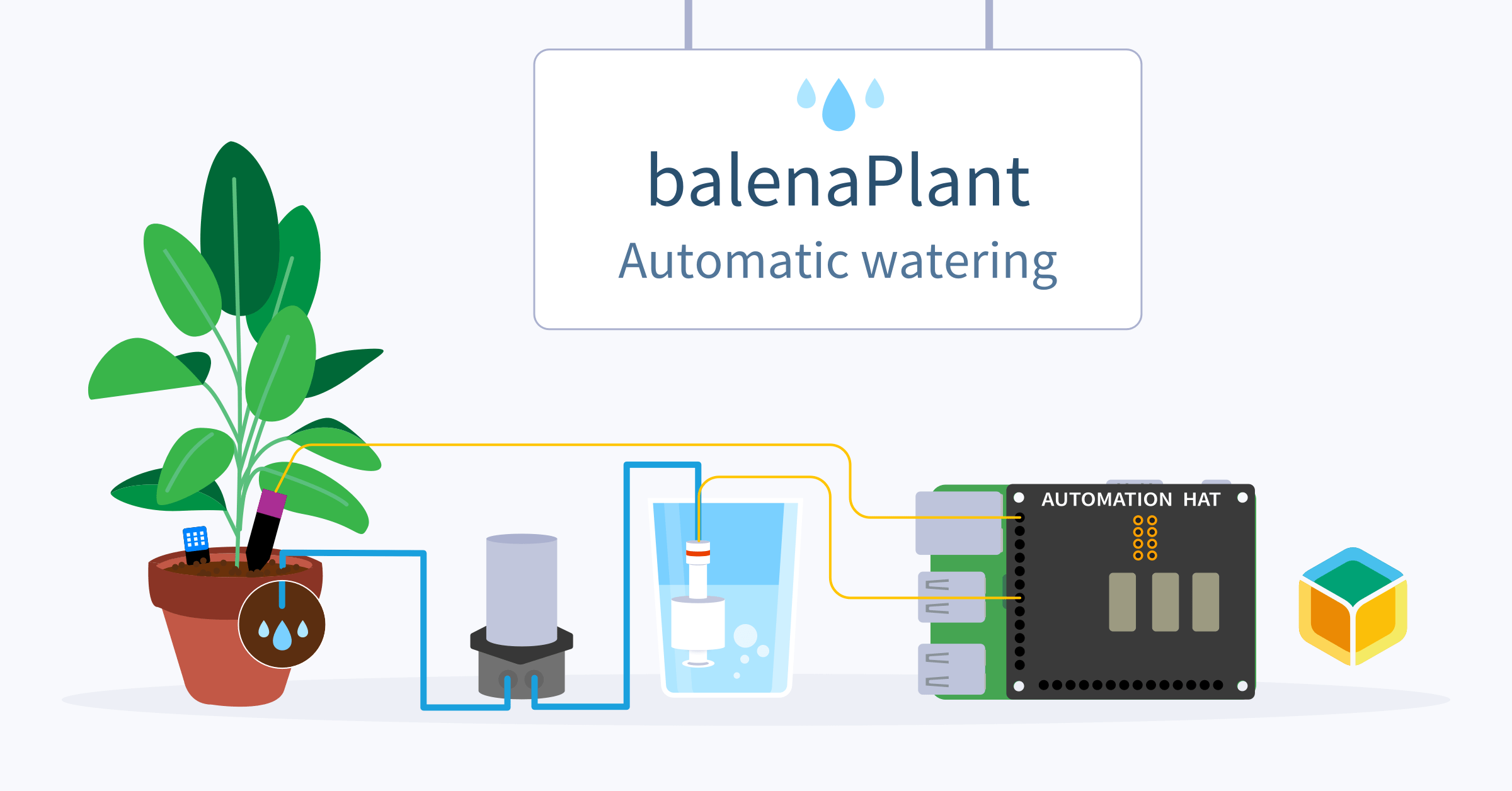 Keep your plant-friends happy and healthy with automated watering: balenaPlant