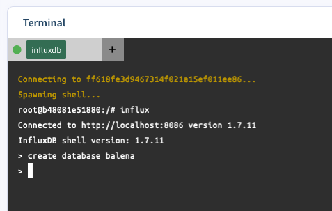 Creating the InfluxDB database from CLI on balenaCloud terminal